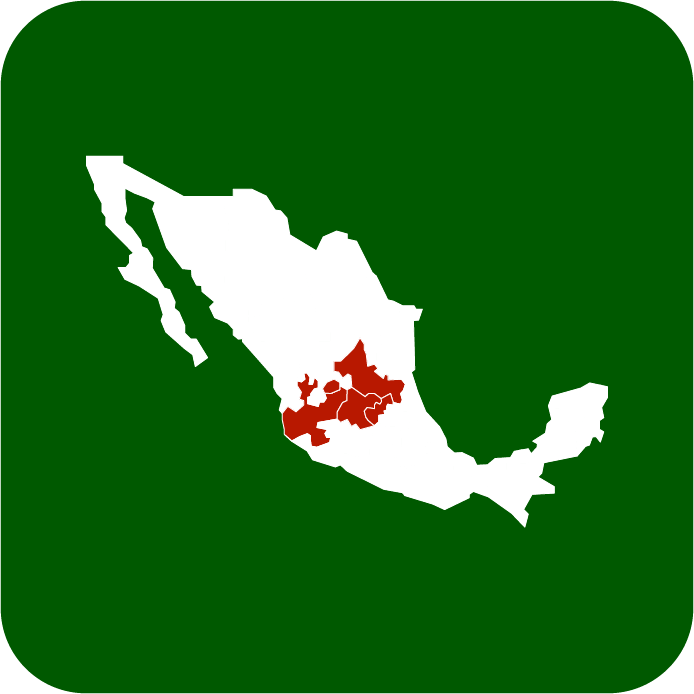 REGIÓN BAJÍO