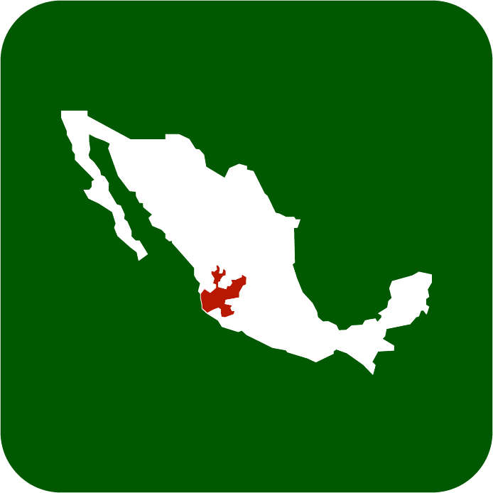REGIÓN JALISCO